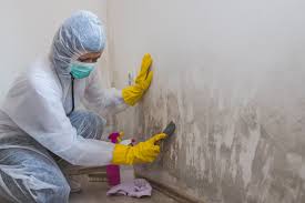 Best Mold Remediation for Rental Properties  in Sheffield Lake, OH